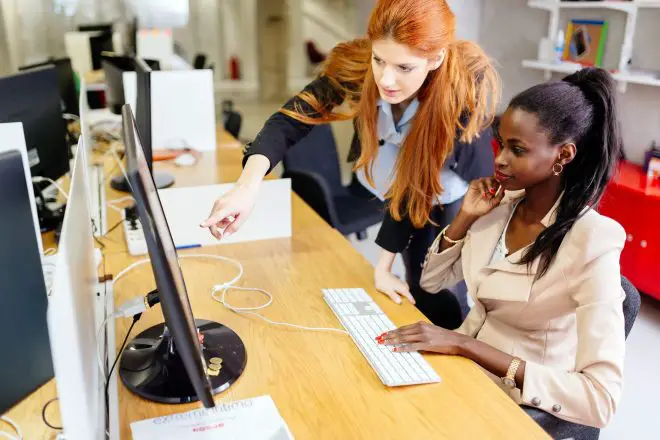Businesswoman supervising employee