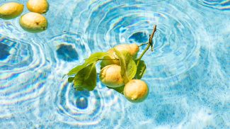 lemons float in a pool while being kissed by the sun.
